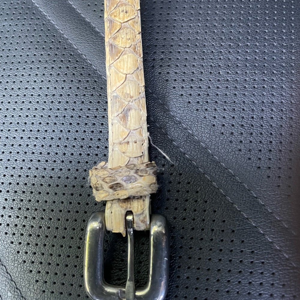 Genuine Python belt size: M - Picture 9 of 10